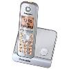 Panasonic TELEFONO CORDLESS KX-TG6711JTS SILVER